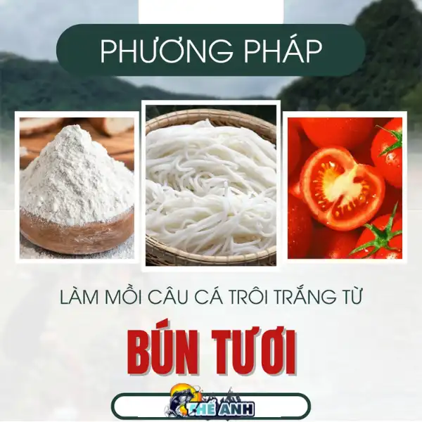 Cách làm mồi câu cá trôi trắng từ bún tươi