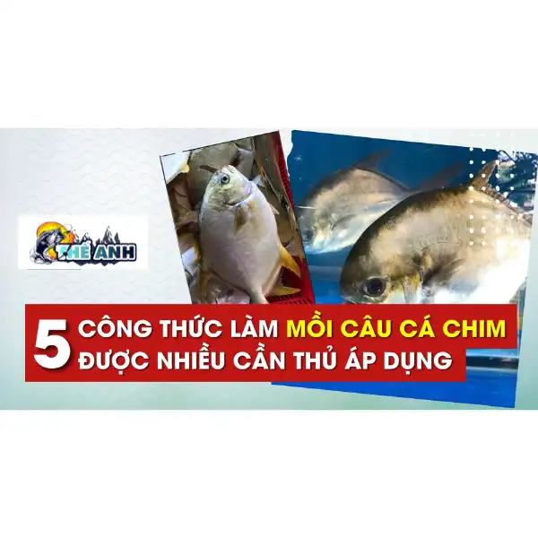 Bài mồi câu cá chim sông và hồ dịch vụ