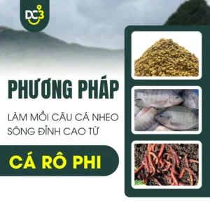 Phương pháp làm mồi câu cá nheo sông từ cá rô phi đơn giản