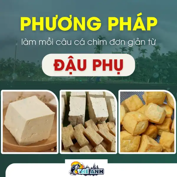 Cách làm mồi câu cá chim đơn giản từ đậu phụ