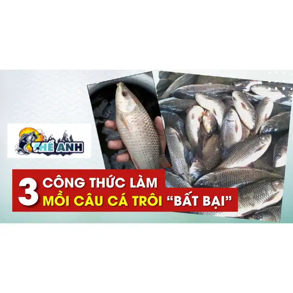 mồi câu cá trôi